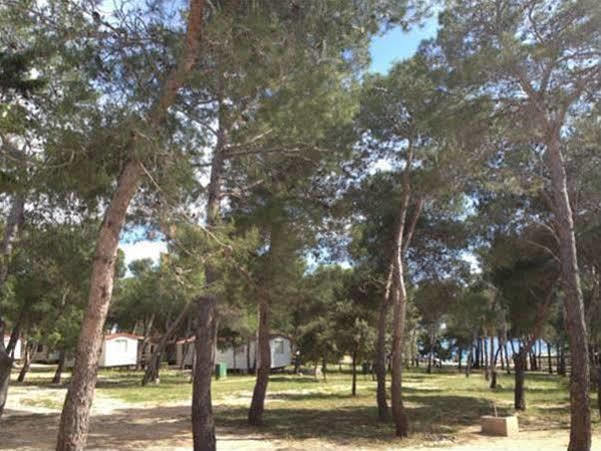 Camp Porat Hotel Povljana Zewnętrze zdjęcie