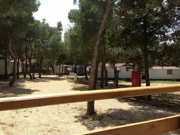 Camp Porat Hotel Povljana Zewnętrze zdjęcie